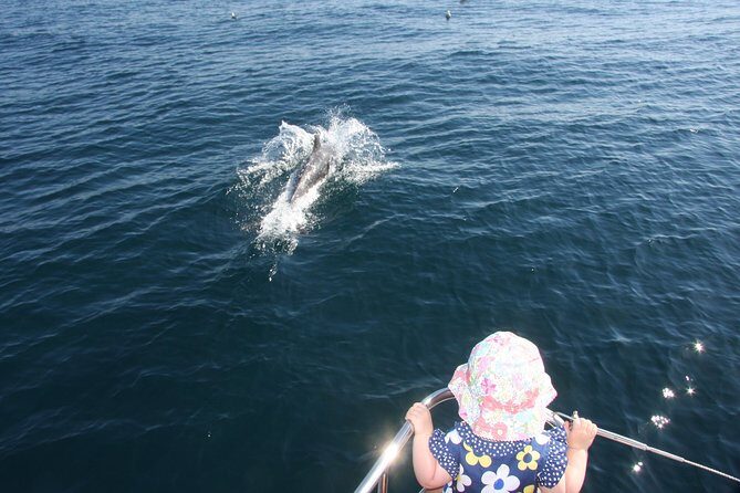 Sighting Dolphin Trip Estepona, Marbella - The Itinerary Breakdown