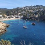 Sightseeing Day Trip along the South West Coast of Ibiza ES Vedra - Practical Details & What You Need to Know