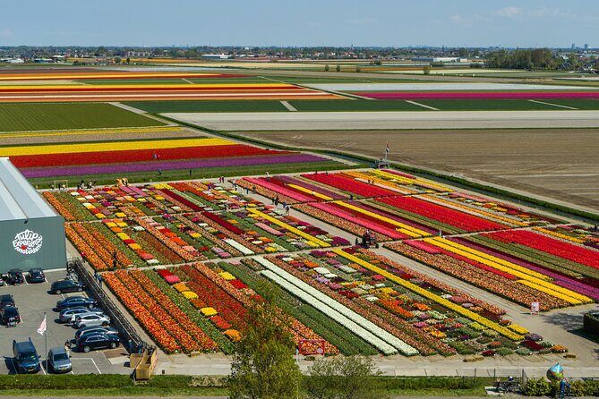 Sightseeing Keukenhof Tulip fields, Giethoorn tour from Amsterdam - An In-Depth Look at the Tour Itinerary