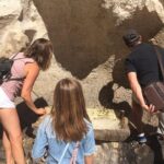 Sightseeing Walking Tour of Rome By Night: Trevi Fountain & Other Highlights - Practical Details and Tips for Your Night Tour