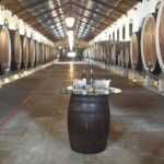 Sintra Full Day Private Wine Experience with Tastings from Lisbon - Scenic Coastal Villages and the Westernmost Point