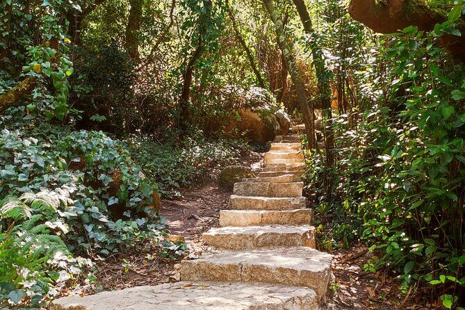 Sintra Private Hiking Adventure Tour - Authentic Experiences as Reported by Reviewers