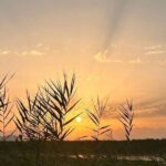 Skadar Lake Private Boat Tour with Wine Tasting - The Value of the Experience