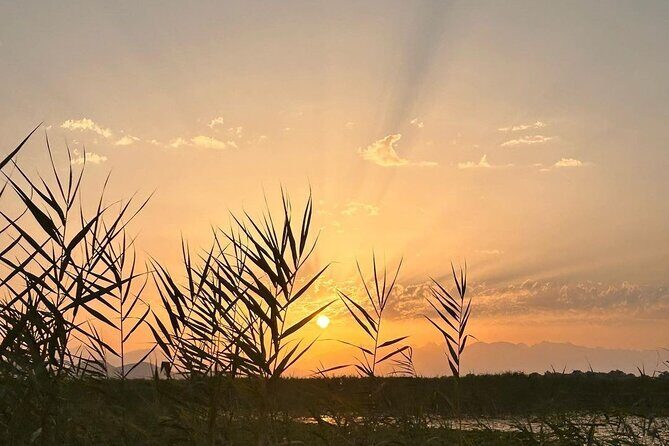 Skadar Lake Private Boat Tour with Wine Tasting - The Value of the Experience