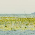 Skadar Lake Short Guided Tour: Discover the Montenegrin Alcatraz - A Closer Look: The Itinerary and What You Can Expect