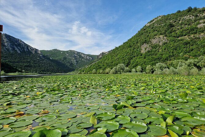 Skadar Lake tour - experience the Montenegrin nature - Discovering the Charm of Virpazar