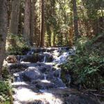 Skakavac Waterfall Hike - From Sarajevo - What the Reviews Reveal