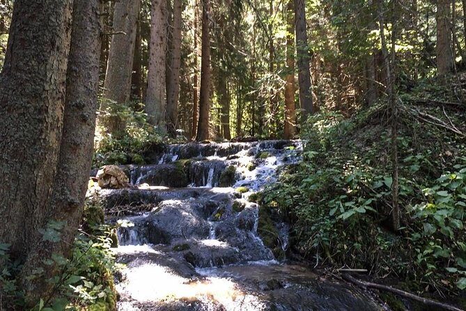 Skakavac Waterfall Hike - From Sarajevo - What the Reviews Reveal