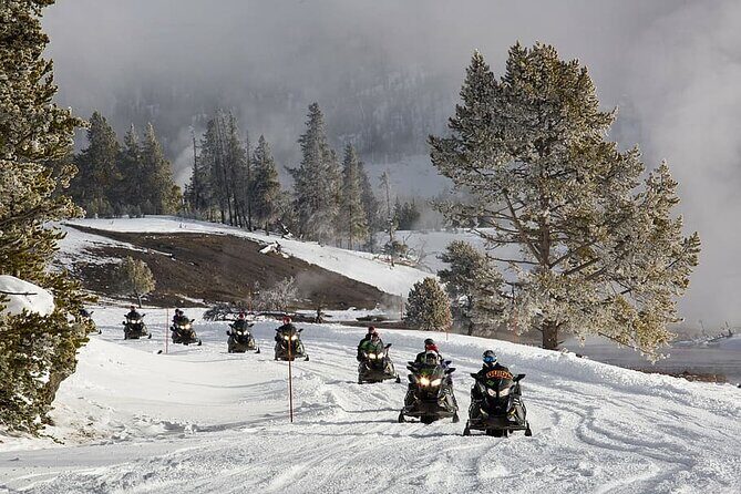 Ski-doo Snow Safari in Borovets - Who Is This Tour Best For?