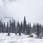 Ski & Snow Tour to Bakuriani from Kutaisi with Borjomi Stop - Authentic Experiences & Insights from Travelers