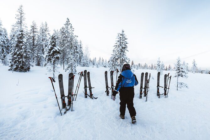 Ski Trekking Safari in Lapland - The Sum Up: Is This Tour Worth It?