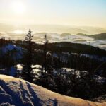 Skiing in winter wonderland - A Closer Look at the Details: What You Need to Know