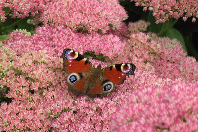 Skip-the-Line: Botanic Garden Entry Ticket - The Experience: What You’ll Encounter
