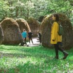 Skip the Line: Europos Parkas, Open-Air Museum Ticket Vilnius, Lithuania - Visitor Experience & Practicalities