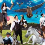 Skip the Line: Falconeria Locarno Ticket - Who Will Enjoy This Tour?