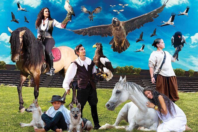 Skip the Line: Falconeria Locarno Ticket - Who Will Enjoy This Tour?