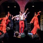 Skip the Line: Museo del Baile Flamenco Admission Ticket - Who Will Love This Experience?