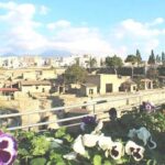 Skip-the-line Shore Excursion from Naples Cruise Port to Pompeii & Herculaneum - Final Thoughts