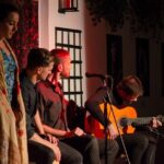 Skip the line: Tablao Flamenco Andalusí Ticket - The Practicalities: Price, Accessibility, and Booking