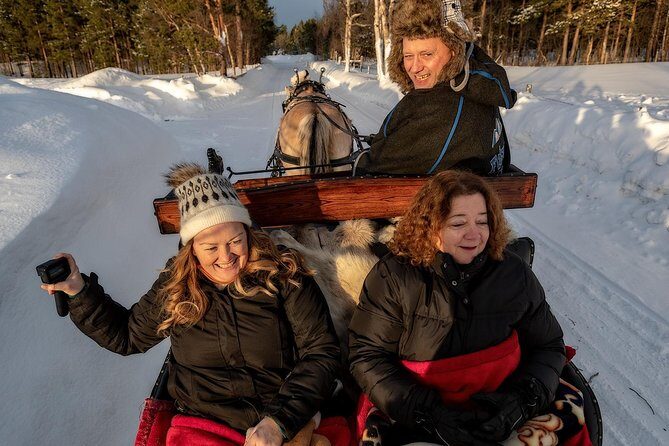 Sleigh or wagon ride in the arctic Country side - The Sum Up