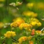 Slow Parma Food Experience Half Day Private Tour and Tasting - Is It Worth the Price?