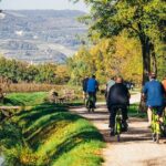 Small-group Amarone Wine e-Bike Tour from Verona - Introduction: An Authentic Taste of Verona’s Countryside