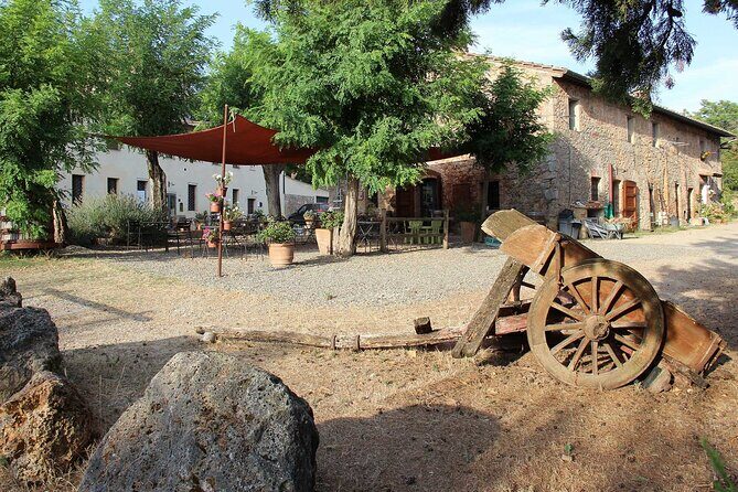 Small-Group Arezzo and Cortona Day Trip from Siena - Exploring Tuscany’s Heart: A Detailed Review