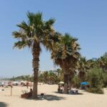 Small-Group Bike Tour of Athens and Riviera - Who Will Love This Experience?