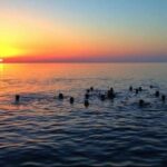 Small Group Boat Day & Evening Tour to Sorrento Coast and Capri - Final Thoughts: Who Should Book This Tour?