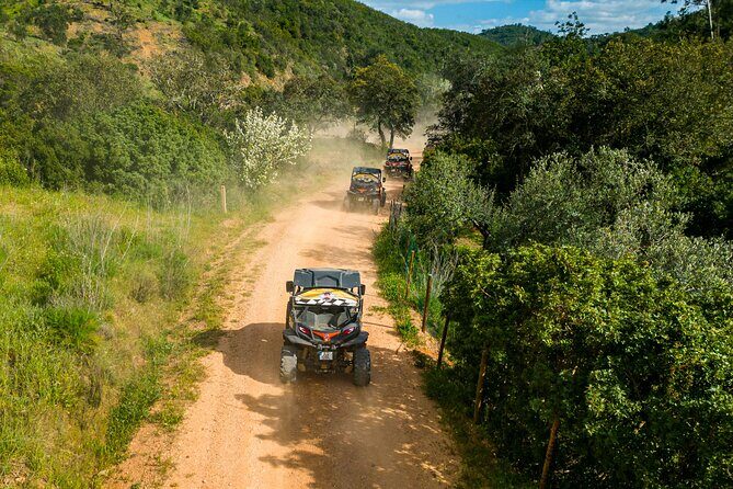 Small-Group Buggy Riding Safari in Algarve - Authentic Experiences and Practical Tips
