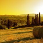 Small-Group Chianti and San Gimignano Sunset Trip from Siena - Chianti Winery Experience
