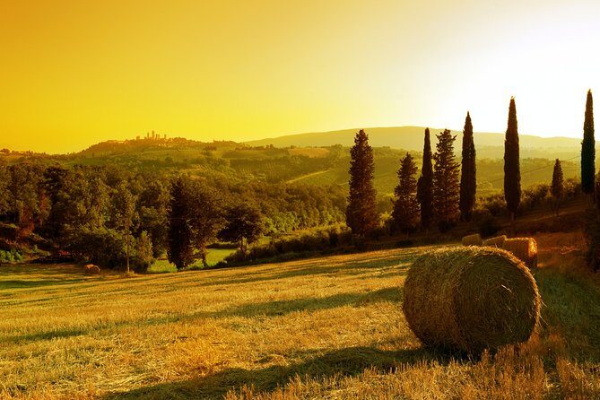 Small-Group Chianti and San Gimignano Sunset Trip from Siena - Chianti Winery Experience
