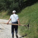 Small-Group Day Trip in Romanian Authentic Mountain Villages from Brasov - Frequently Asked Questions