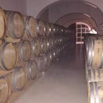 Small group Day Trip to Evora and Monsaraz from Lisbon with wine tasting - Practical Tips for Your Trip