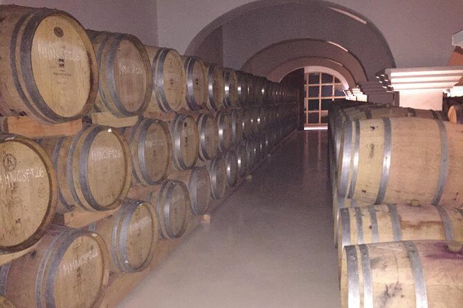 Small group Day Trip to Evora and Monsaraz from Lisbon with wine tasting - Practical Tips for Your Trip