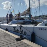 Small Group Dolphin Sunset Tour on Electric Catamaran Lanzarote - What Makes This Tour Stand Out