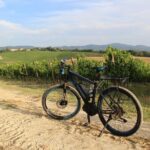 Small Group E-Bike Chianti Tour with farm lunch from Siena - Farm Lunch and Wine Tasting