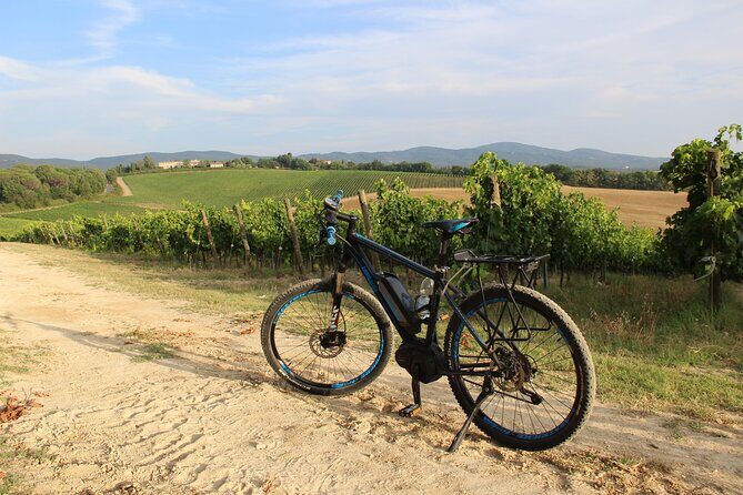 Small Group E-Bike Chianti Tour with farm lunch from Siena - Farm Lunch and Wine Tasting
