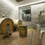 Small-Group Exclusive Winery and Wine Tasting Tour in Frascati - The Wine Tasting Experience