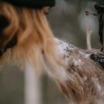 Small Group Fishing, Lunch& Reindeer Farm Visit in the Wilderness - Why This Tour Offers Great Value