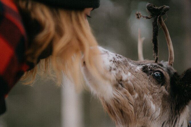 Small Group Fishing, Lunch& Reindeer Farm Visit in the Wilderness - Why This Tour Offers Great Value