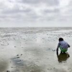 Small group full day island tour to Texel from Amsterdam - What to Expect from the Texel Island Tour