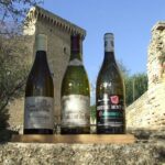 Small-Group Full-Day Private Wine Tour from Avignon - Final Thoughts: Who Will Love This Tour?
