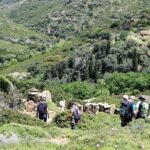 Small-Group Guided Hiking Tour in Andros with picnic on the beach - Why This Tour Stands Out