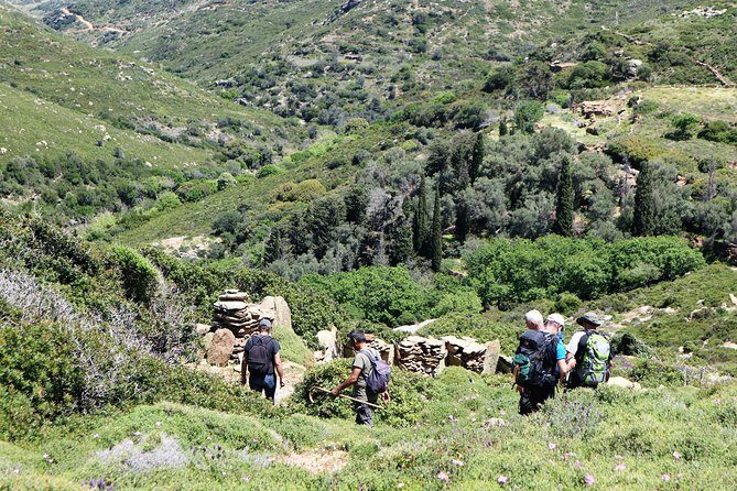 Small-Group Guided Hiking Tour in Andros with picnic on the beach - Why This Tour Stands Out