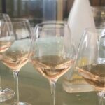 Small group half day Camargue and rosé wine tour from Montpellier - Why This Tour Could Be the Right Choice for You