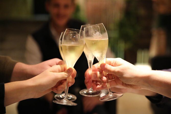 Small Group - Half Day Champagne Tour - Visit of 2 Small Producers/Growers - Transportation and Group Size