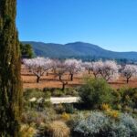 Small Group - Half-Day Wine Tour - Transportation and Practicalities