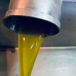 Small-Group Honey & Extra Virgin Olive Oil Tasting Tour in Crete - Overall Value