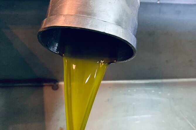 Small-Group Honey & Extra Virgin Olive Oil Tasting Tour in Crete - Overall Value